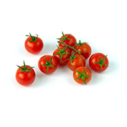 ferme-umami-tomates-cerises